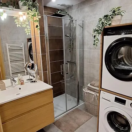 Appartement Design Et Loisirs Proche Saverne